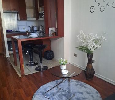 Bellas Artes Apartment | Santiago Centro Apart