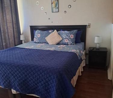Bellas Artes Apartment | Santiago Centro Apart