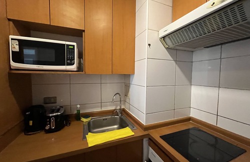 Downtown Santiago Apartment | Santiago