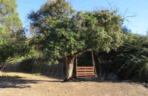 Santo Domingo Cabin | Santo Bucalemu