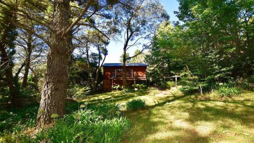 Leura House | Santosha Glade near the Everglades