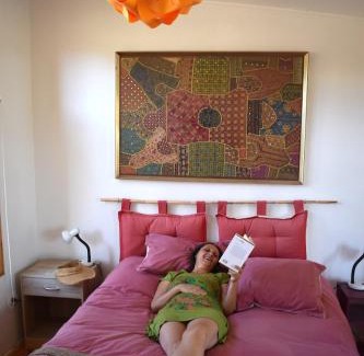 Vicuna Ski Chalet | Santuario Cosmico Mamalluca