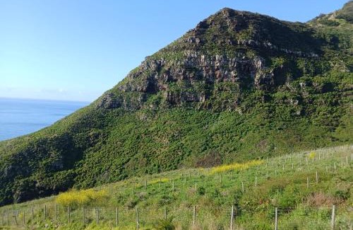 Machico Apartment | Sao Lourenco