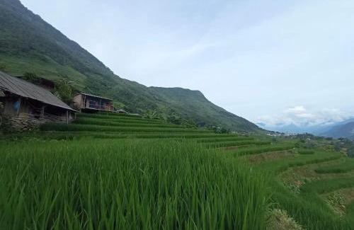 Sa Pa House | Sapa terraces