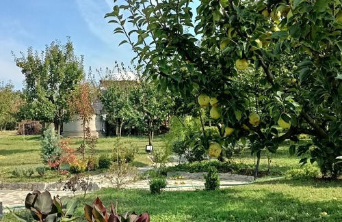 Sapanca Other | Sapanca Green Dome