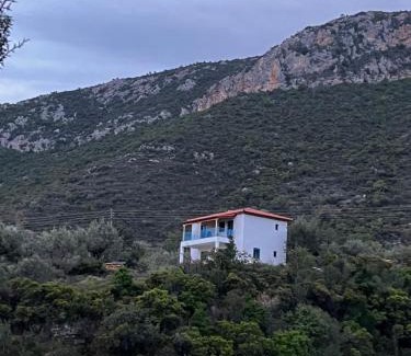 Livadi House | Sarantopoyloy Eleni