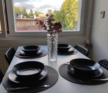 Hameenlinna Apartment | Saunallinen tilava kaksio keskustan ja rautatieaseman tuntumassa