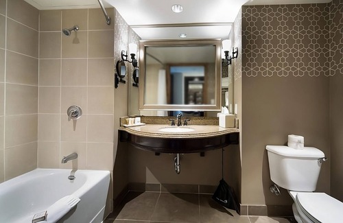 Downtown San Antonio Hotel | Savor An Exhilarating Experience! 4 City View Units, Outdoor Pool, Dogs Allowed!