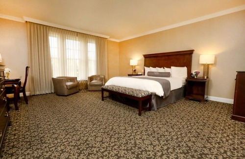 Rochester Hotel | Savor the European Charm of Our Elegant Stay! Pet-Friendly Options & Bar