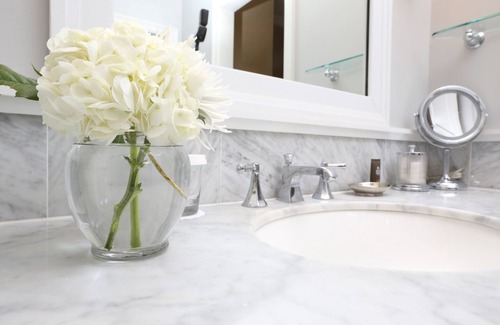 Rochester Hotel | Savor the European Charm of Our Elegant Stay! Pet-Friendly Options & Bar