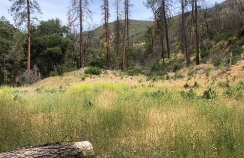 Shasta House | Sawpit Farm Creekside Cabin Minutes from Whiskeytown Lake