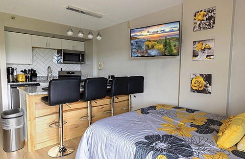 Snowshoe Condo | SC 2204 Completely Renovated Studio, Bright Winter Escape!