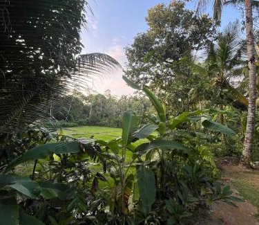 Ahangama House | Scenery Vibes - Ahangama