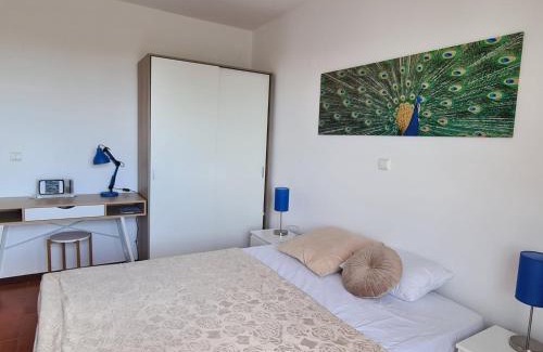 Ponta Delgada Apartment | Scenic Comfort D