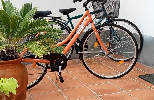 Ponta Delgada Apartment | Scenic Comfort