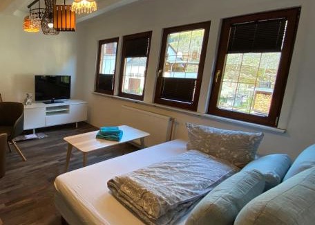 Mainz-Bingen Apartment | Schöne Ferienwohnung Burgruine Fachwerkhaus
