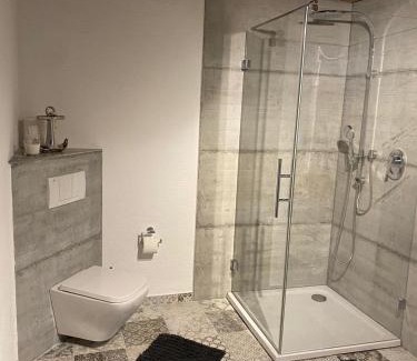 Mainz-Bingen Apartment | Schöne Ferienwohnung Gewölbekeller Fachwerkhaus