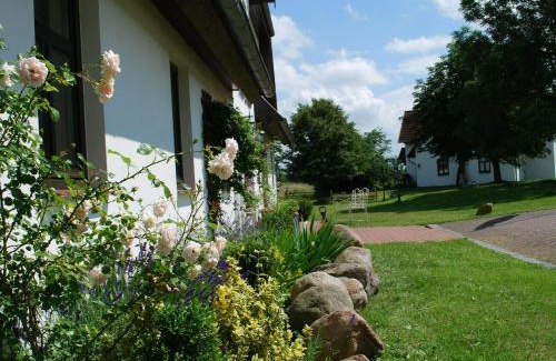 Dargun House | Schönes Ferienhaus in Dargun mit Pool