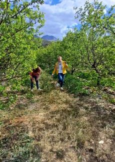 Scheepersrus Other | Scheepers Rust Guest Farmhouse