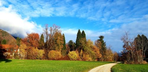 Bad Reichenhall Apartment | Scheer Regina
