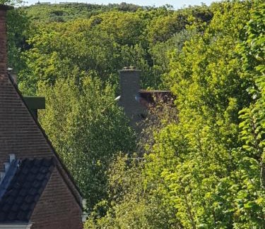Vogelwijk Bed & Breakfast | Scheveningen Sea Side