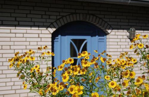 Fusing House | Schlei-Rose