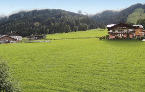 Flachau Apartment | Schoene Ferienwohnung Flachau