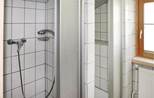 Pichl-Preunegg Apartment | Schoene Ferienwohnung Schladm,