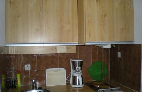 Pla d'Adet Apartment | Schuss Pied des Pistes!
