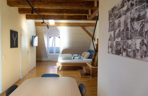 Villingen-Schwenningen Apartment | Schwarzwald Apartment City Studio