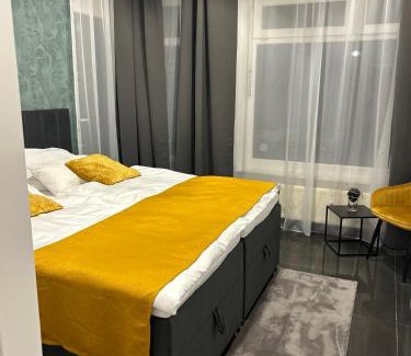 Villingen-Schwenningen Apartment | Schwarzwald City Loft