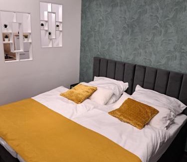 Villingen-Schwenningen Apartment | Schwarzwald City Loft