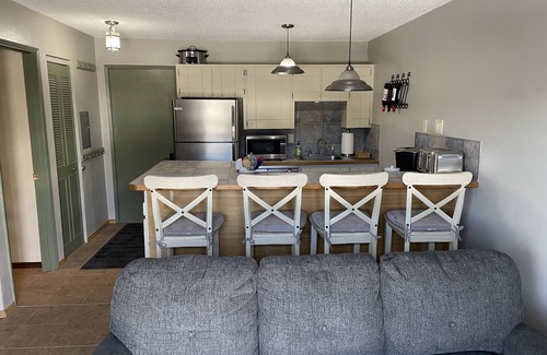 Sandpoint Condo | Schweitzer Mountain View Condo
