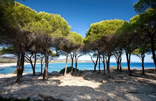 Porto Ottiolu Apartment | Sciabecco resort