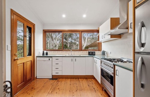 Leura House | Scribbly Gum