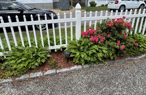 Ocean Park Cottage | Scrub Pines 2 - Saco Bay Rentals