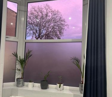 Darlington Apartment | SD Studio Nr Hopetown A1 A19 A66