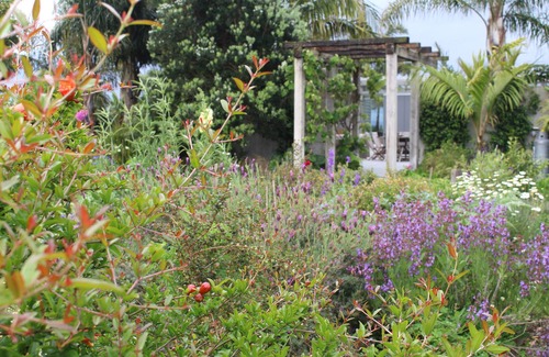 Waipu Apartment | Sea and rural views from your private deck, surrounded by tropical gardens