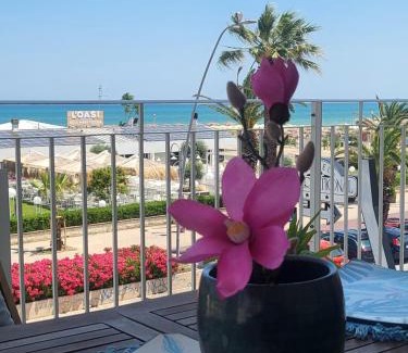 Tortoreto Lido Apartment | Sea Home Sunrise
