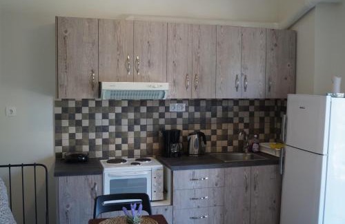 Palaia Fokaia Apartment | Sea Side Apartment