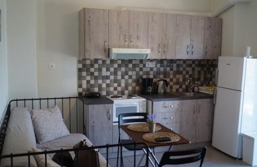 Palaia Fokaia Apartment | Sea Side Apartment