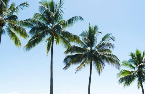 Craiglie Resort | Sea Temple Port Douglas King Spa Studio, Free Wi Fi, Netflix