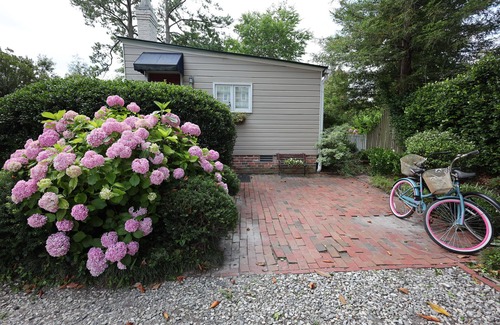 New Bern Cottage | Sea Turtle Cottage - walk to everything!
