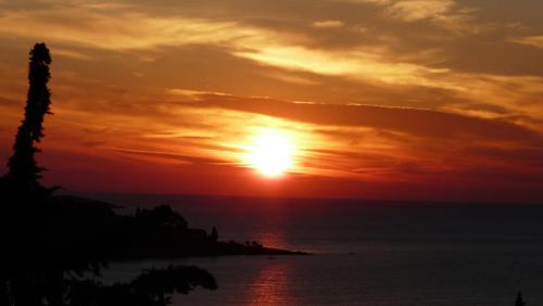 Cavtat Apartment | Sea View Apartment