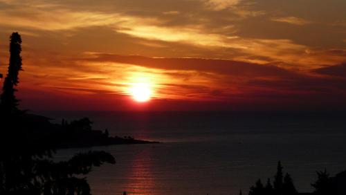 Cavtat Apartment | Sea View Apartment