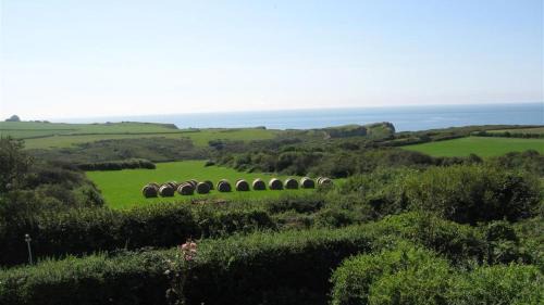 Crynant House | Seacliffs