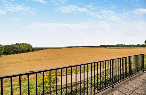 Walberswick House | Seagulls