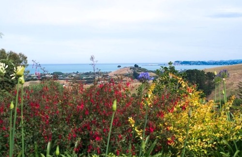 Eskdale Apartment | Seahurst Apartment Napier, swim,stay,play.