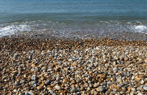 Selsey Resort | Seal Bay, West Sands