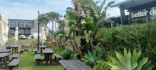 Cape Saint Francis Apartment | Seal Point apartment